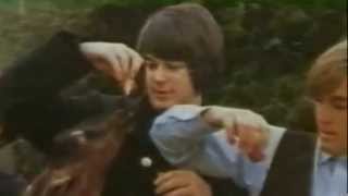 Rubber Soul Gave Me Pet Sounds, Pet Sounds Gave Them Sgt. Pepper (Endless Syncopation)