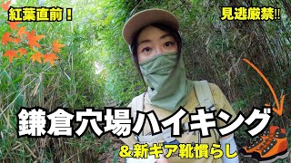 [Just like Ghibli] Just before the autumn leaves! Beginner-friendly Kamakura hikes ✨ Shoes break-...