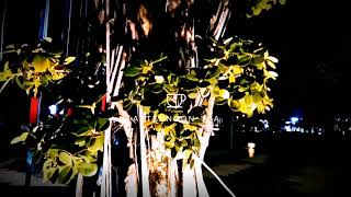 Download lagu Story WA Alun alun Pati mp3