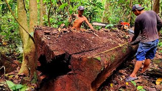 Download lagu Full video ‼️Gaya belah samping kayu ulin besar kalimantan mp3