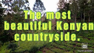 Biking along Mt. Kenya forest in Meru. (Most beautiful scenes ever!)