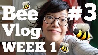 BEE VLOG #3 - Week 1 - saving drowning bees &amp; oxalic acid treatment