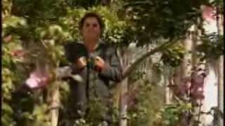 Die Flippers Weisse Taube Paloma Medley