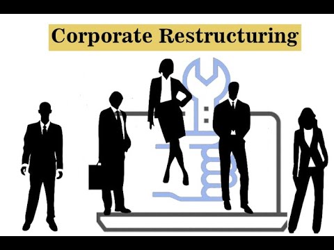 CORPORATE RESTRUCTURING II