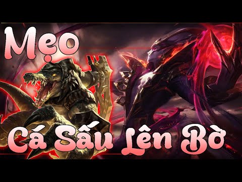 Hướng Dẫn Vladimir Chơi Cá Sấu Lên Bờ Rank Cao Thủ - Vladimir Chan