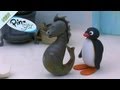 Pingu Make A Discovery Pingu Official Channel