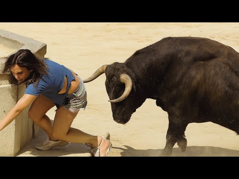 Animales Fuera de Control!! #2