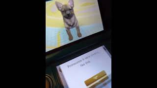 How to Name your Puppy in Nintendogs + Cats (3DS Game) (Plain English Tutorial)