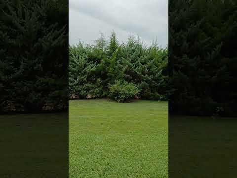 Rosario del Tala, Entre Ríos