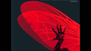 the haunted never better