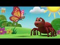 Itsy Bitsy Spider