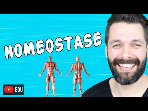 HOMEOSTASE E MECANISMOS DE FEEDBACK - Fisiologia | Biologia com Samuel Cunha