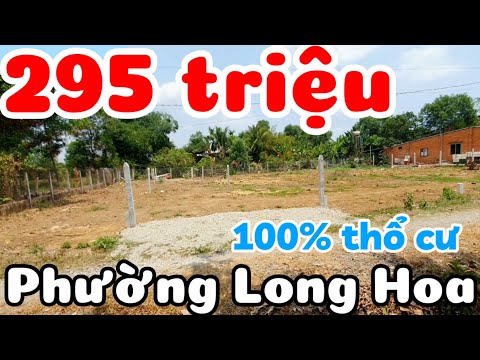 Đất 295 triệu 100% thổ cư ở phường Long Hoa Tây Ninh sổ hồng riêng gần Quốc Lộ 22B cách TPHCM 70km