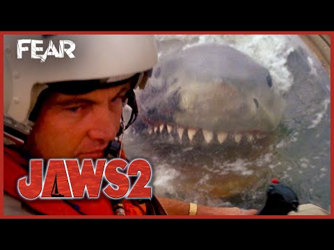 Shark vs. Helicopter | Jaws 2 | Fear
