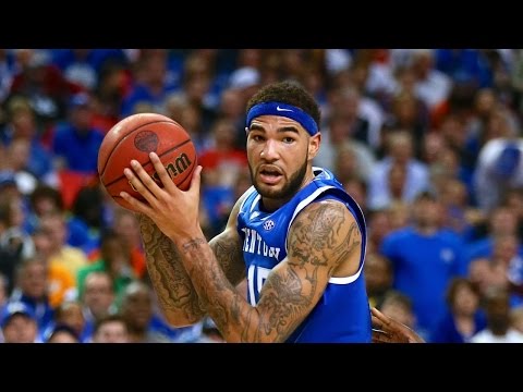 Willie Caulie Stein - Kentucky Highlights 2015