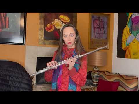 Powell Handmade Custom Flute #3066