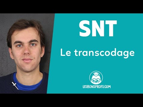 Le transcodage