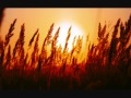 Group 1 Crew - iContact