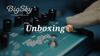 스트라이몬 빅스카이 리버브 이펙터 페달 언박싱 Strymon BigSky Pedal Unboxing