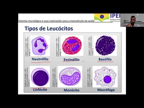 AULA 02 - ANTICORPOS, ANTÍGENOS E CÉLULAS DO SISTEMA IMUNOLÓGICO