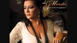 Maria del Monte- Te debo Un Rocío.wmv
