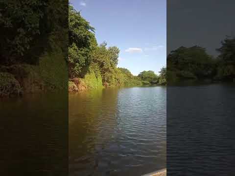 Rio em Flores de Goiás #natureza #Rio #belezanatural  #mindfulness