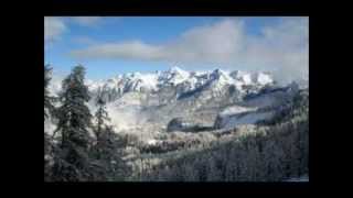 Simply Nothing, Shawn McDonald