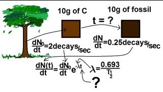 Physics - Nuclear Physics (11 of 22) Carbon Dating