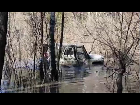 Смотреть видео Смотреть видео