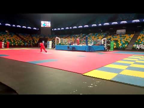 Jing WU Fils - Drunken boxing performance