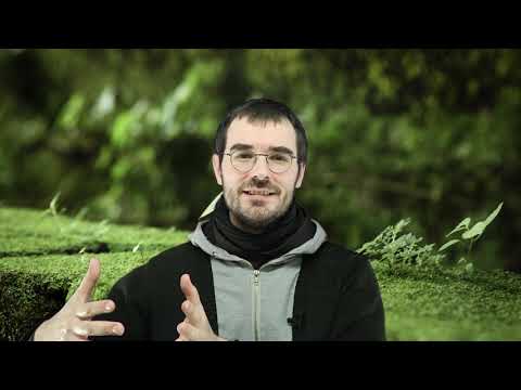 ROZPOZNAJ swój charyzmat #25 - jak rozeznawać + test