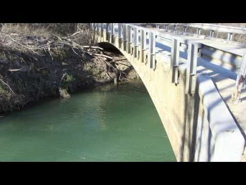 Donkey Lady Bridge Video 2