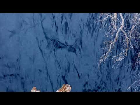 Teleplasmiste - A Boy Called Conjuror