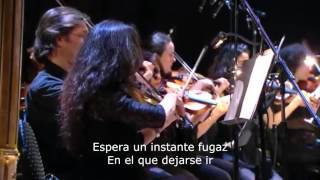 Spinetta - "Tonta Luz" (by Vera Spinetta)