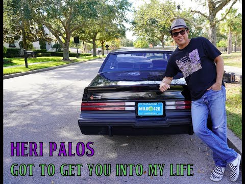 Heri Palos- Got To Get You Into My Life (cover version)