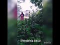 Shindaiwa B450 Cortando Maleza