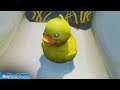 Search Tiny Rubber Ducky At Spot Hidden In Summertime Splashdown Screen Location Fortnite