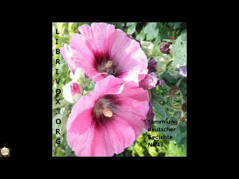 Sammlung deutscher Gedichte 043 by Various — free full audiobook