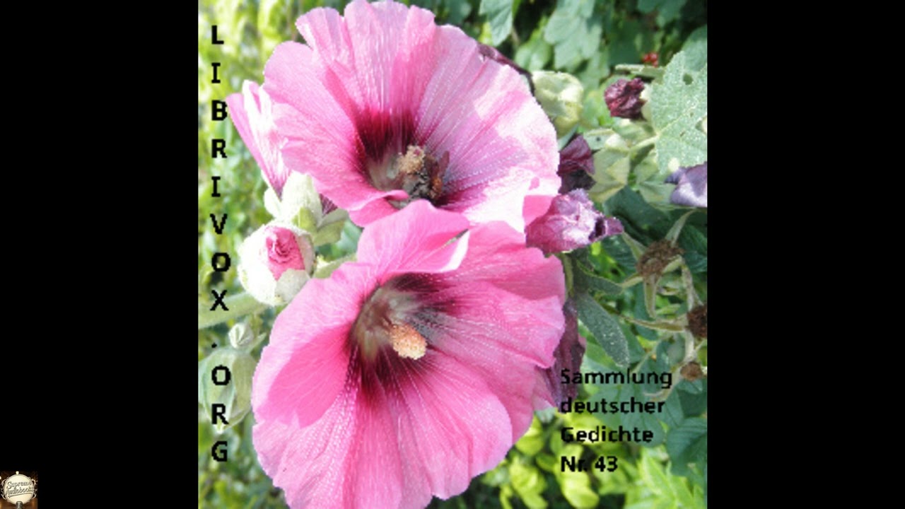 Sammlung deutscher Gedichte 043