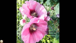 Sammlung deutscher Gedichte 043