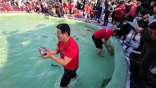 2023 제14회 평창송어축제 맨손잡기 ^^