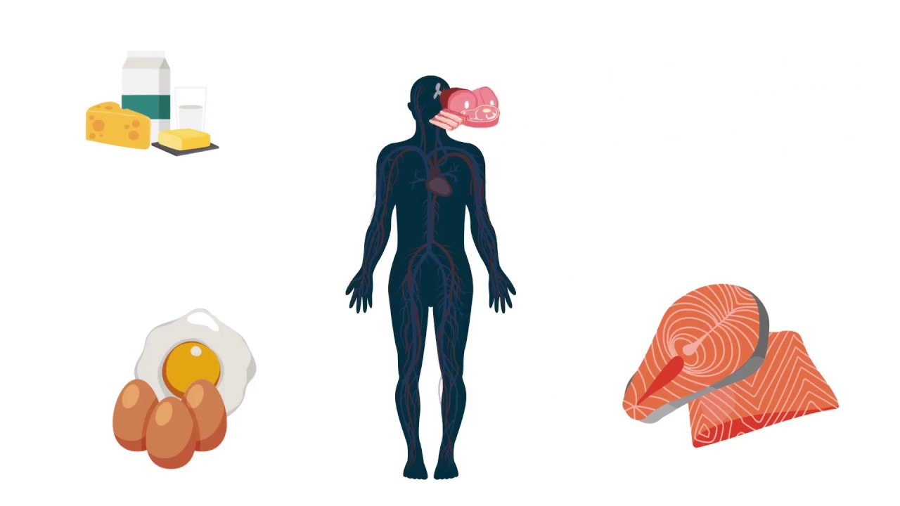 Comida que afeta genes é tema da Nutrigenômica