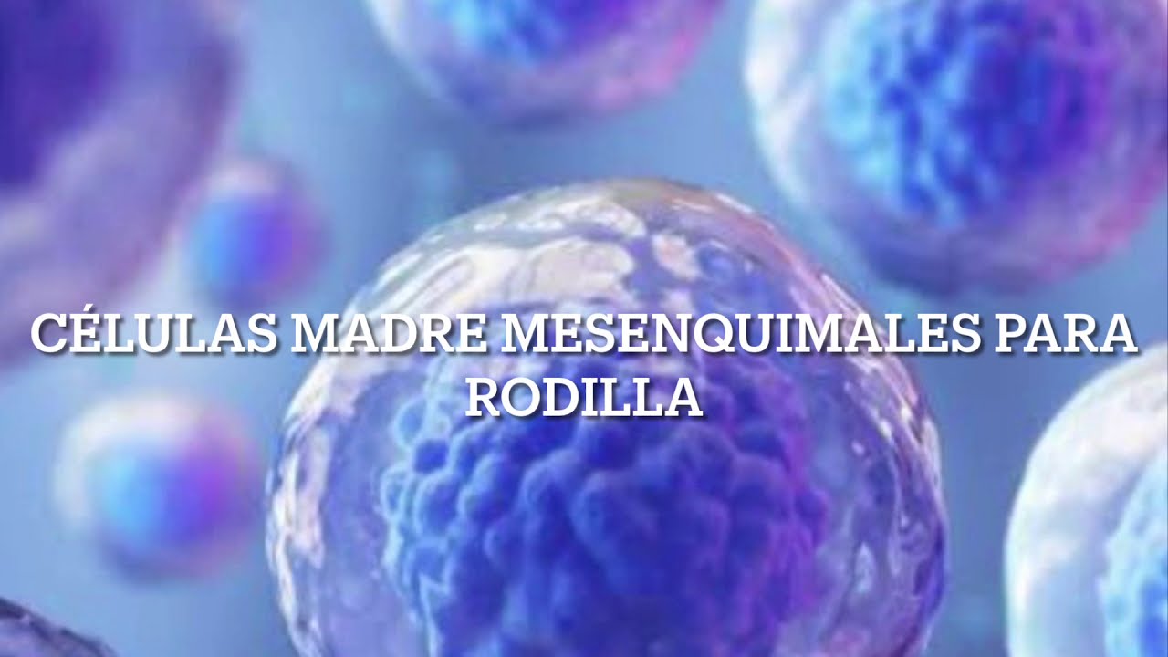 Juan Manuel Ortega Van Beusekom-29