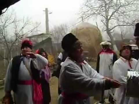 Plug 2011 baietii de la albesti prahova