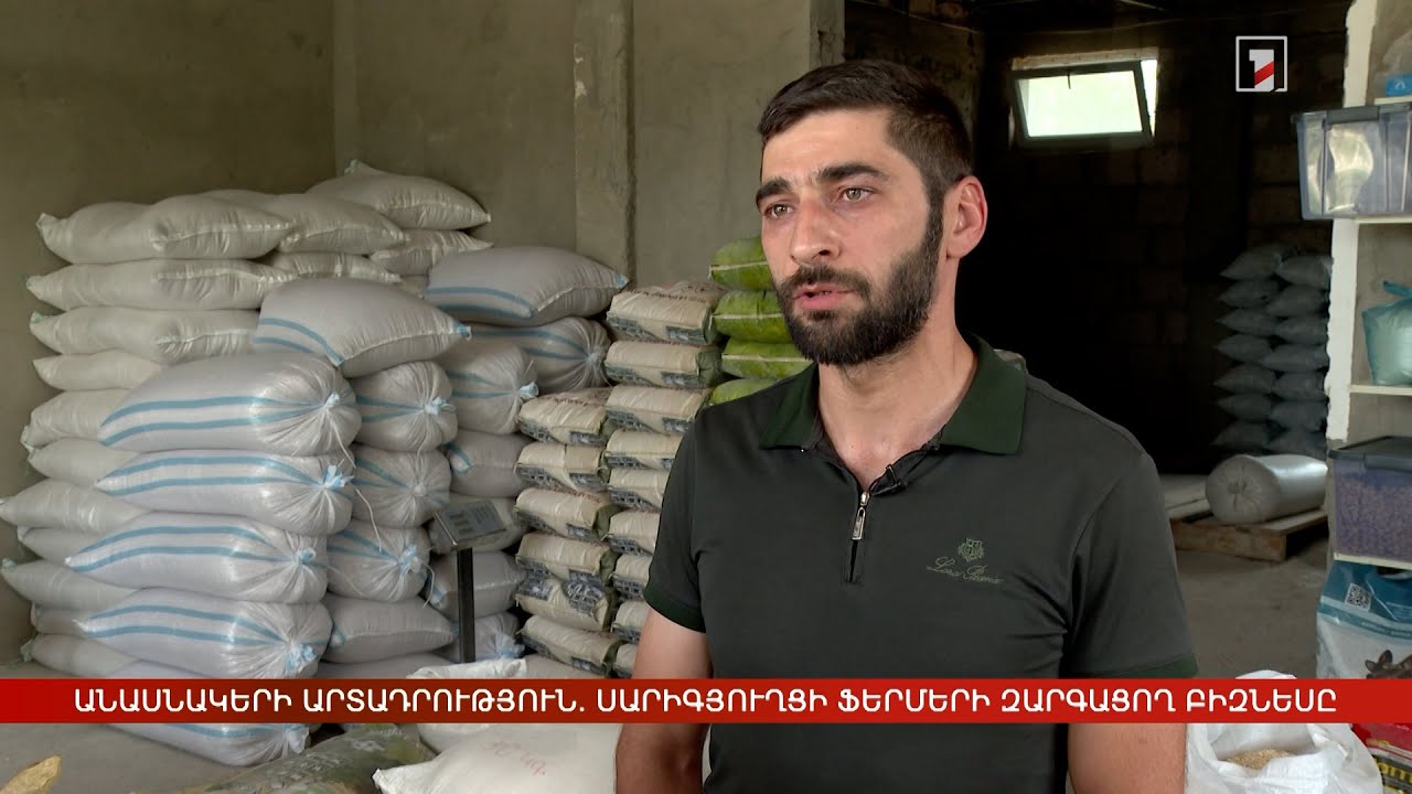 Անասնակերի արտադրություն. սարիգյուղցի ֆերմերի զարգացող բիզնեսը