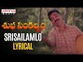 Srisailamlo Lyrical Subha Sankalpam Songs Kamal Haasan Aamani M M Keeravani