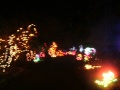 JARDIN DE LUCES EN SEATTLE Julian Y Thomas 2012