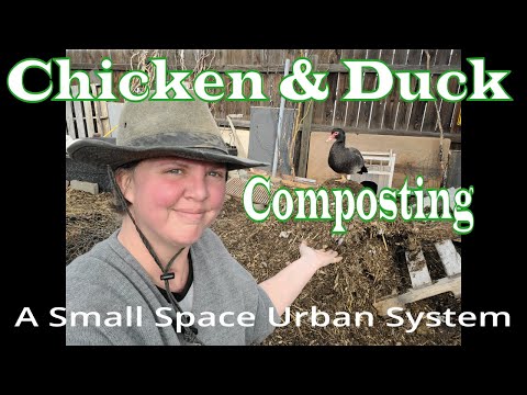 Chicken & Duck Composting System. Small Space Urban Garden Permaculture Design