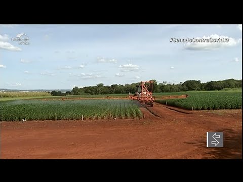 Representantes do setor agrícola defendem Sistema Nacional de Ciência, Tecnologia e Inovação