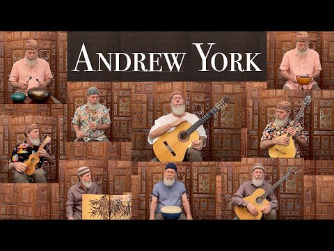 Andrew York - Play Everything
